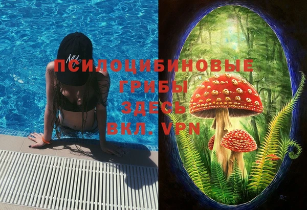 каннабис Алзамай