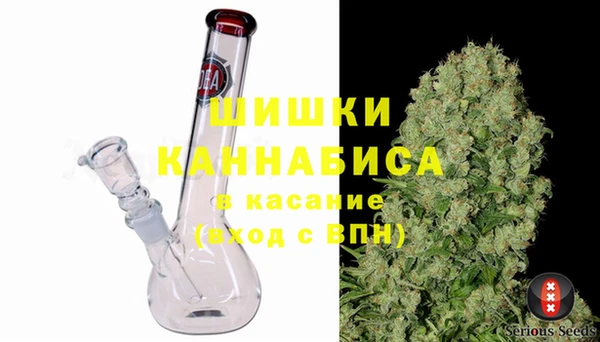 бошки Алексин