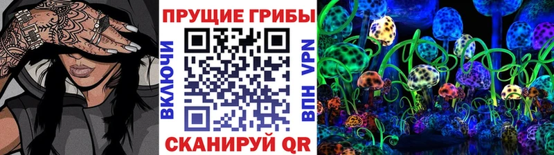 Псилоцибиновые грибы Psilocybine cubensis  Елабуга 